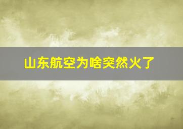 山东航空为啥突然火了