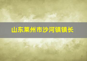 山东莱州市沙河镇镇长