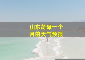 山东菏泽一个月的天气预报