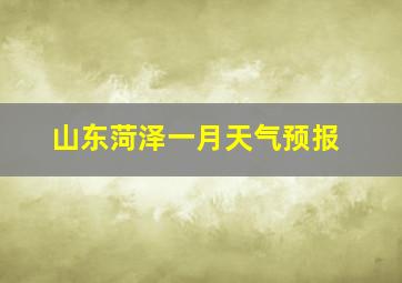 山东菏泽一月天气预报