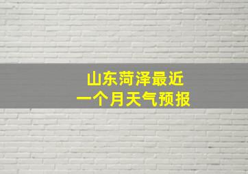 山东菏泽最近一个月天气预报