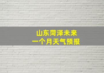 山东菏泽未来一个月天气预报