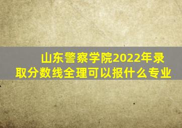 山东警察学院2022年录取分数线全理可以报什么专业