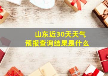 山东近30天天气预报查询结果是什么