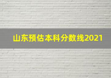 山东预估本科分数线2021