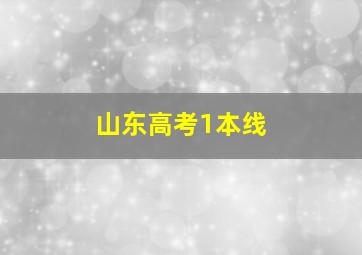 山东高考1本线