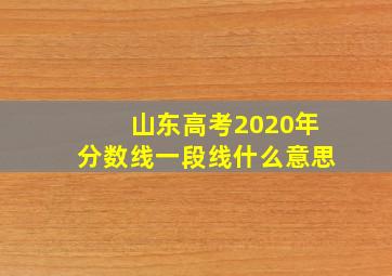 山东高考2020年分数线一段线什么意思