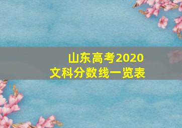 山东高考2020文科分数线一览表