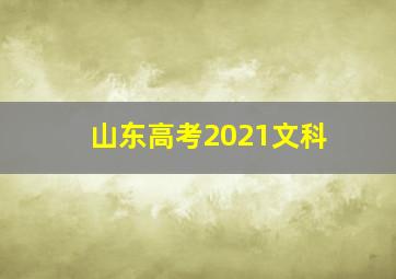 山东高考2021文科