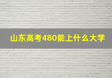 山东高考480能上什么大学