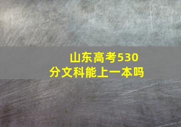 山东高考530分文科能上一本吗