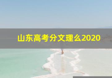 山东高考分文理么2020