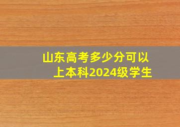 山东高考多少分可以上本科2024级学生