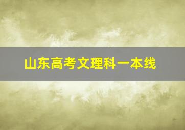 山东高考文理科一本线