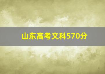 山东高考文科570分