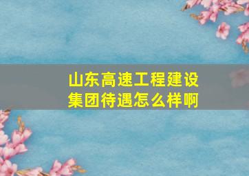 山东高速工程建设集团待遇怎么样啊