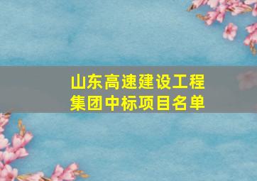 山东高速建设工程集团中标项目名单