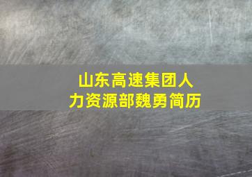 山东高速集团人力资源部魏勇简历