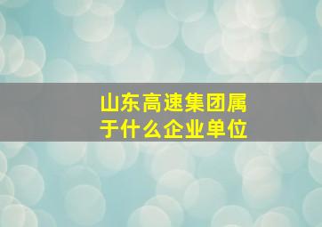 山东高速集团属于什么企业单位