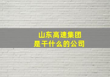 山东高速集团是干什么的公司