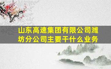 山东高速集团有限公司潍坊分公司主要干什么业务