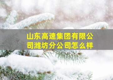 山东高速集团有限公司潍坊分公司怎么样