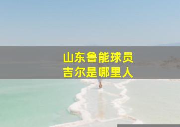 山东鲁能球员吉尔是哪里人