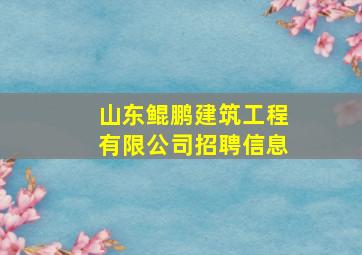 山东鲲鹏建筑工程有限公司招聘信息