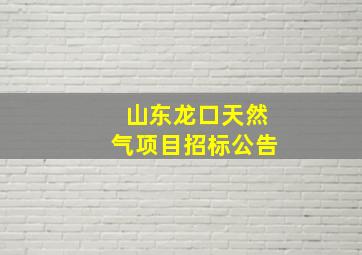 山东龙口天然气项目招标公告