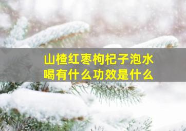 山楂红枣枸杞子泡水喝有什么功效是什么