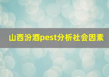 山西汾酒pest分析社会因素