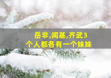 岳非,闻基,齐武3个人都各有一个妹妹