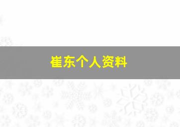 崔东个人资料