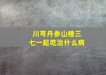 川芎丹参山楂三七一起吃治什么病