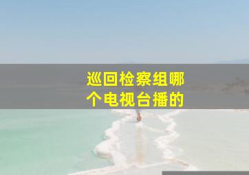 巡回检察组哪个电视台播的