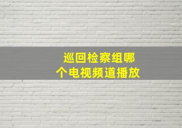 巡回检察组哪个电视频道播放