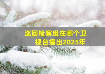 巡回检察组在哪个卫视台播出2025年