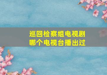 巡回检察组电视剧哪个电视台播出过