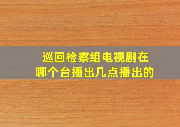 巡回检察组电视剧在哪个台播出几点播出的