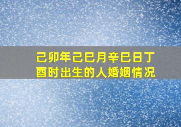 己卯年己巳月辛巳日丁酉时出生的人婚姻情况