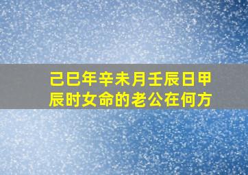 己巳年辛未月壬辰日甲辰时女命的老公在何方