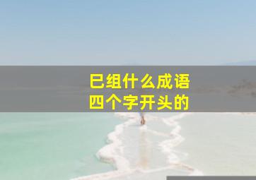 巳组什么成语四个字开头的