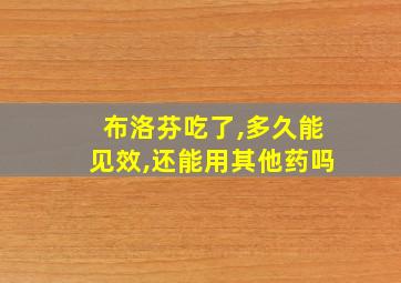 布洛芬吃了,多久能见效,还能用其他药吗