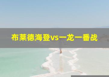 布莱德海登vs一龙一番战