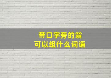 带口字旁的翁可以组什么词语