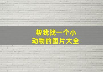 帮我找一个小动物的图片大全