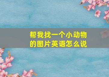 帮我找一个小动物的图片英语怎么说