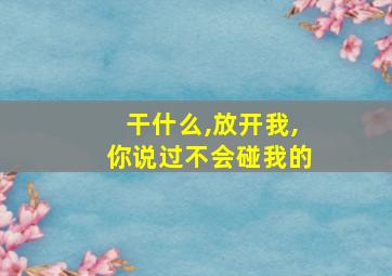 干什么,放开我,你说过不会碰我的