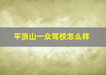 平顶山一众驾校怎么样