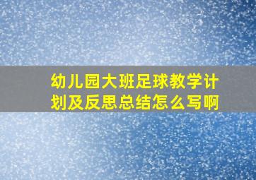 幼儿园大班足球教学计划及反思总结怎么写啊